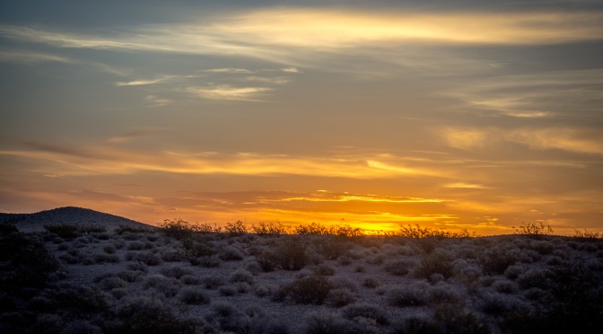 Critters from Texas and the Sunrise at the Mojave.
